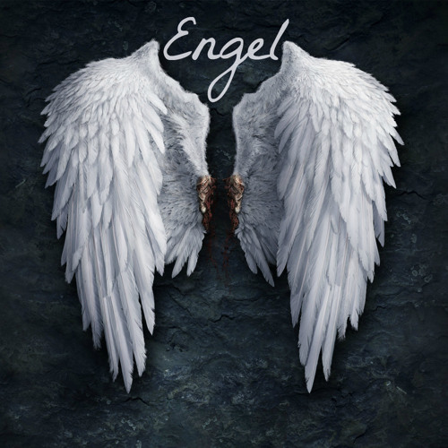 Engel instr Pilot