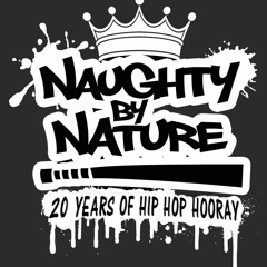 Naughty By Nature - Hip Hop Hooray (DJ Scene Remix)