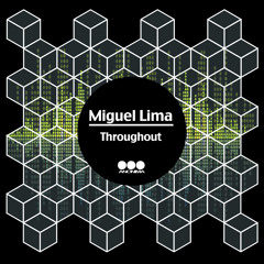 2 - Miguel Lima - Rise Of Nation (Original Mix) (Anonima Records)