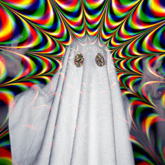 Evol Ghost [2013 Original]
