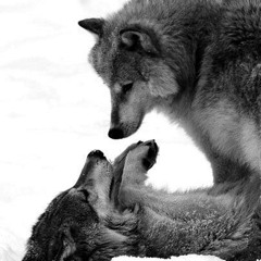 Frozen Dance (ft. Rona Kenan)