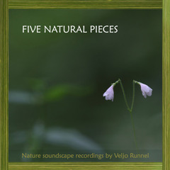 'Five Natural Pieces' by Veljo Runnel - Album Sample