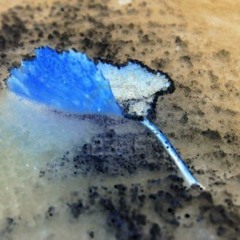 Cosmic Dream (Instrumental Ver.1)