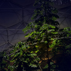 Biomes at night