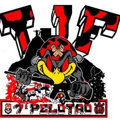 MONTAGEM - JOVEM FLA DO BONDE DA COLINA ( RODO 2013 )