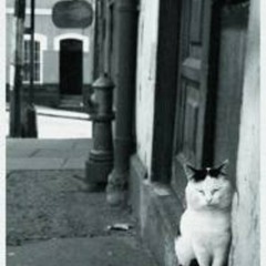 H de rap ft Valpo rilax  -  FLP y Errepe --- sound de la lleca  ( semilla estudio ) !