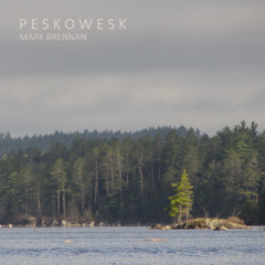 'Peskowesk' by Mark Brennan - album sample