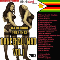 DanceHall Mad Vol 1 2013