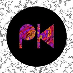 Phil Kieran, White Noise Sound - Never Believed (SL Edit)
