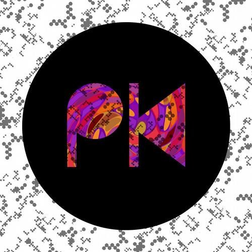 Phil Kieran, White Noise Sound - Never Believed (SL Edit)