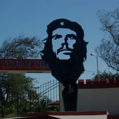 Dans Mon Jardin Remix  Manu Chao / 7 Waves.