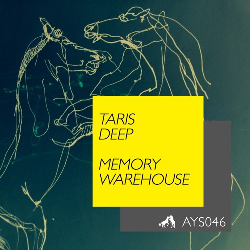 Taris Deep - Memory Warehouse (Alyn Sclosa Remix)