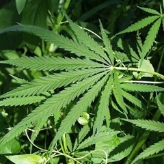 ==MC CHUCK - BUMBA VENDENDO A VERA == DJ CATATAL DE NITERÓI == FOODA