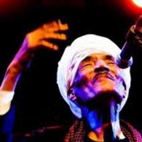 أحمد التونى