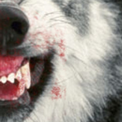 Faulty Transistors - Bite feat. Chantal