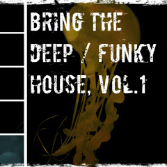 Bring The Deep/Funky House. Vol.1
