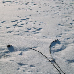 Blowing snow