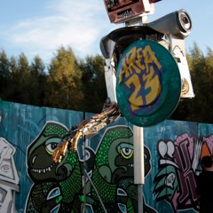 Bossa 35 mastered (robin)