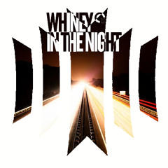 Whiney - In the Night (Networked Remix)