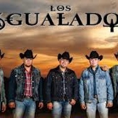 Los Igualados De Nuevo Leon Mix 2013(New CD)