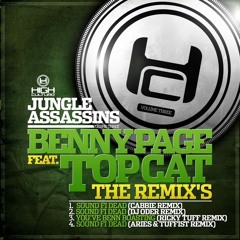 Benny Page & Top Cat - Sound Fi Dead (Dj Oder Remix)