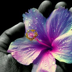 iROn.pADriNo-One Way! - Where is your mind.mp3