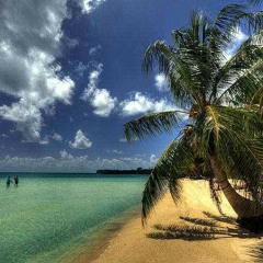 Good-bye Small Island