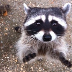 Enot Music Channel - Time