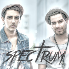 NERVO - Reason (Spectrum Remix)