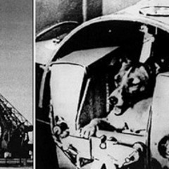 Laika Legacy