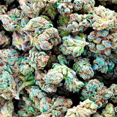 I Rip That Track(Yo Gotti Remix) Unkle Luke & La Tiny Feat. Kello