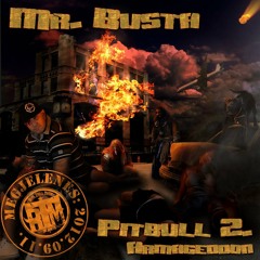Mr.Busta Pitbull2