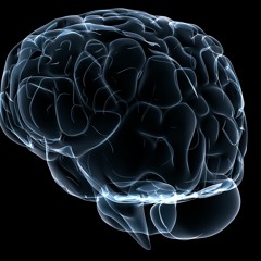 Positive vibrators -Hophip.mp3