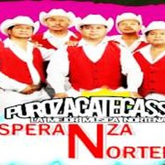 Esperanza Norteña Mas Que Tu Amigo (2013)