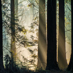 Blamstrain - Sunday Dub EP - 4 AM - BUY VINYL