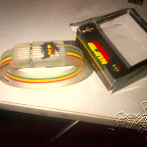 Tony Q Rastafara - Membentang Sayap