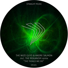 The Wize Guys & Andre Salmon - Our ideas (The Mekanism remix) STR025