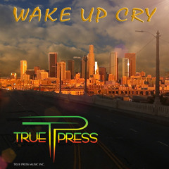 True Press - Wake Up Cry (Single-2012)