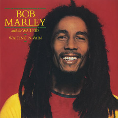 Waiting In Vain - Bob Marley (cover)