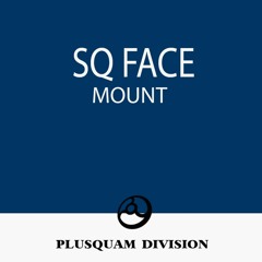 SQ Face - Lightmaker (Original Mix) [Plusquam Division]