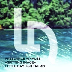 Freelance Whales - Spitting Image (Little Daylight Remix)