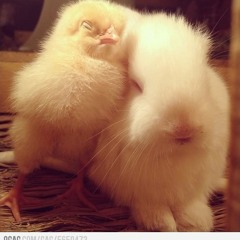 Angel Cover (Shaggy)