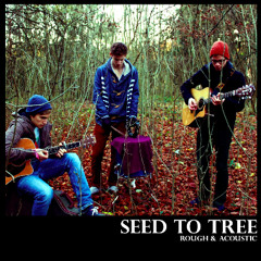 Seed to Tree - Pine cone (Acoustic)