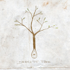 Broken down (Single) - Seed to Tree