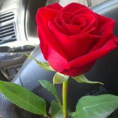 Rudi La Scala at Pebble Creek Apartments