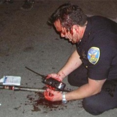 PROTECT N SERVE ALBUMVERSION