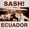 Sash - Ecuador (ReMan 2013 Remix)