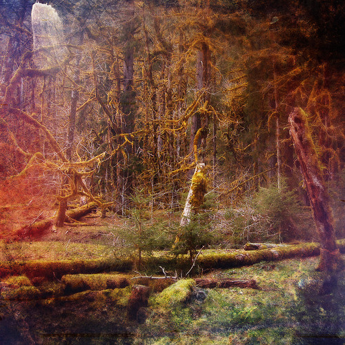 Slidecamp - Geometer