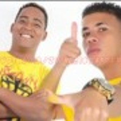 MC MAGRINHO E MC NANDINHO MULHER PROFISSIONAL