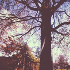 Acchan, the Wind Blows